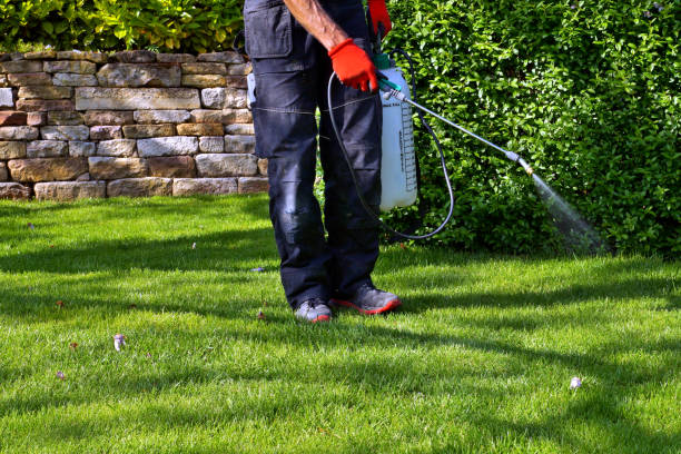  Friendswood, TX Pest Control Pros